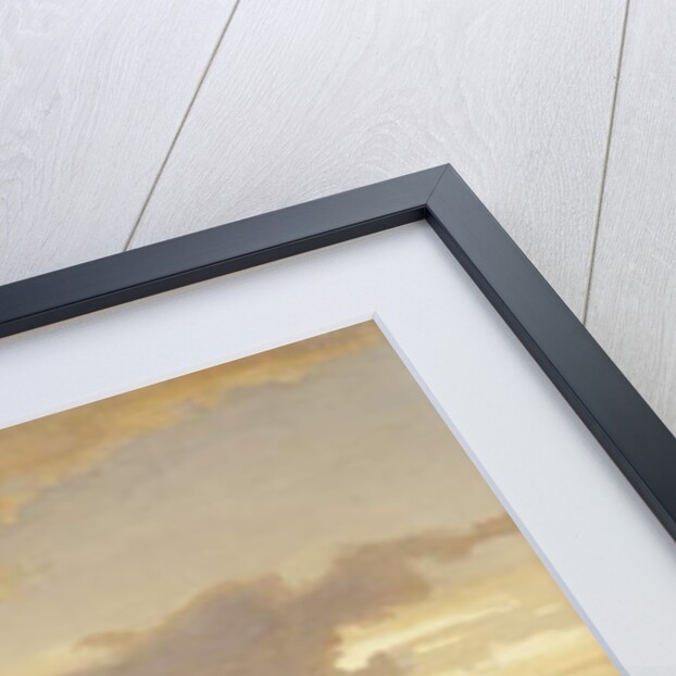 A View of Constantinople and the Bosphorus from the Asian Side, 1864 by Karl Paul Themistocles von Eckenbrecher