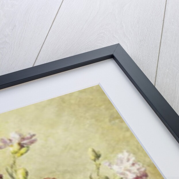 Carnations in the Albarello by Francois Rivoire