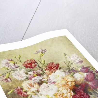 Carnations in the Albarello by Francois Rivoire