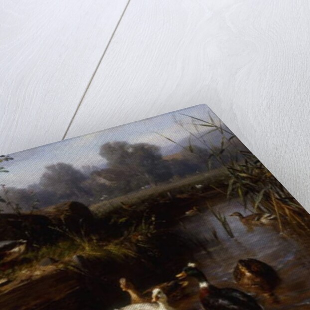 Ducks and Ducklings in a Stream by Carl Jutz