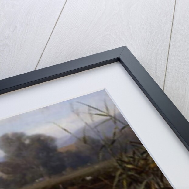 Ducks and Ducklings in a Stream by Carl Jutz