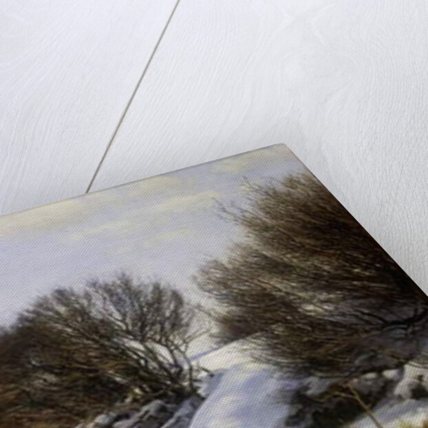 Winter Near the Sea, 1888 by Janus la Cour