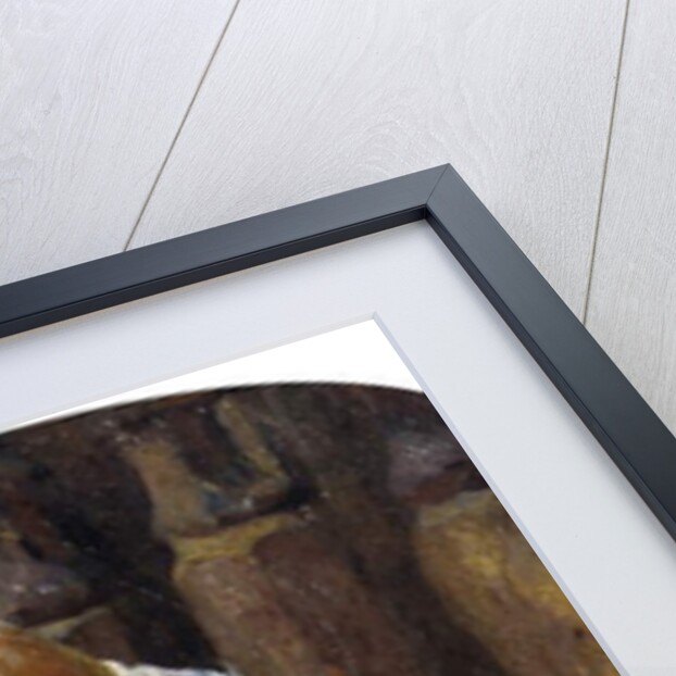 The Celloist; La Femme au Violoncelle by Friedrich Edouard Meyerheim