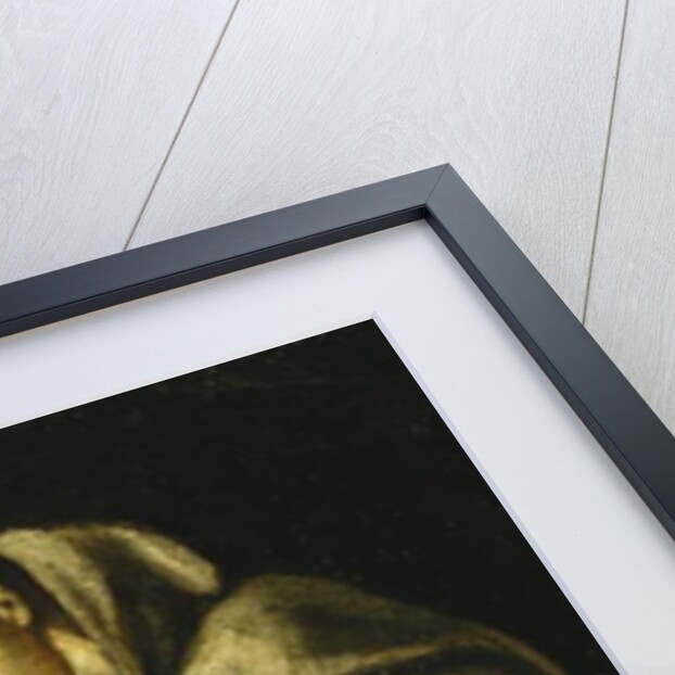 Saint Francis in Meditation by El Greco