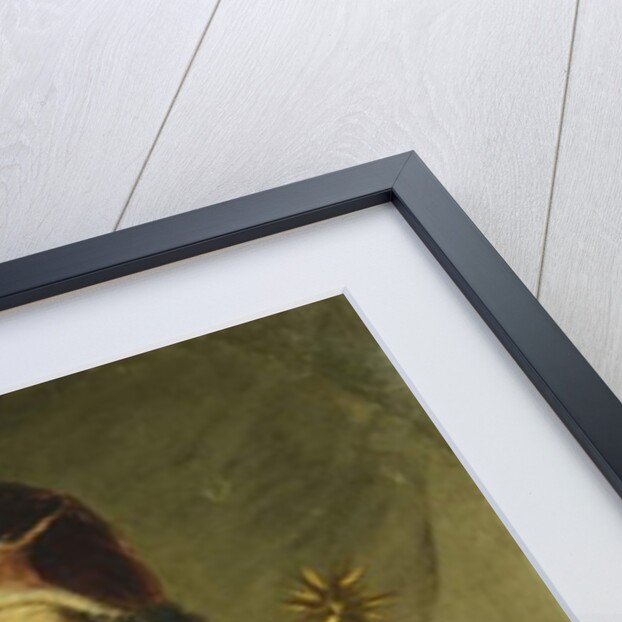 Portrait of Pope Clement XI, Seated Half Length, Wearing Papal Robes, Holding a Letter by Pier Leone Ghezzi