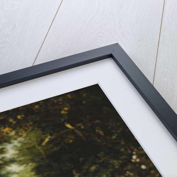 The Four Elements by Jan II & Balen Hendrik van Brueghel