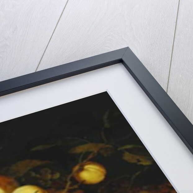 Fruit on a Dish, Flowers in a Wanli Kraak Porselein Vase, Sprigs of Cherries and Redcurrants, Seashells, a Rose, a Tulip, a Pink, a Lizard, a Snail and a Red Admiral on a Stone Ledge, Dragonflies Above by Balthasar van der Ast