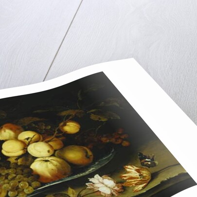 Fruit on a Dish, Flowers in a Wanli Kraak Porselein Vase, Sprigs of Cherries and Redcurrants, Seashells, a Rose, a Tulip, a Pink, a Lizard, a Snail and a Red Admiral on a Stone Ledge, Dragonflies Above by Balthasar van der Ast