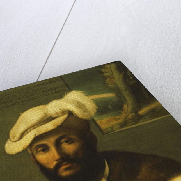 Portrait of a Bearded Gentleman by Francesco Rondani