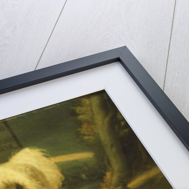 Portrait of a Bearded Gentleman by Francesco Rondani