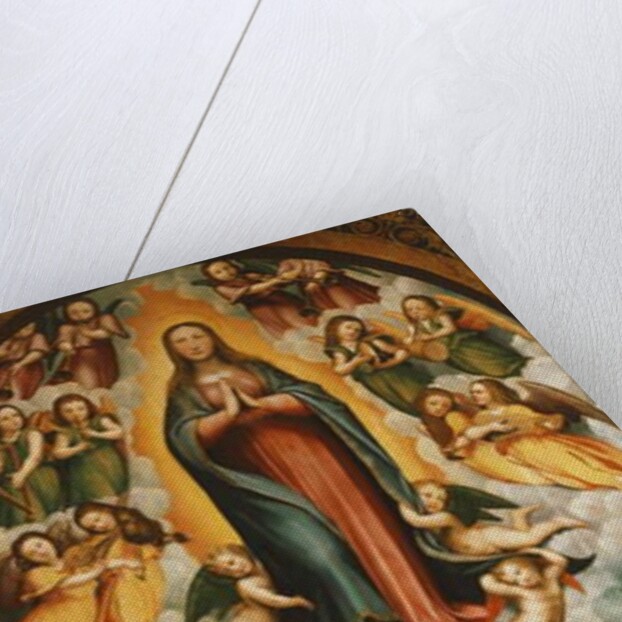 The Assumption of the Virgin by Bernardino Ferrari