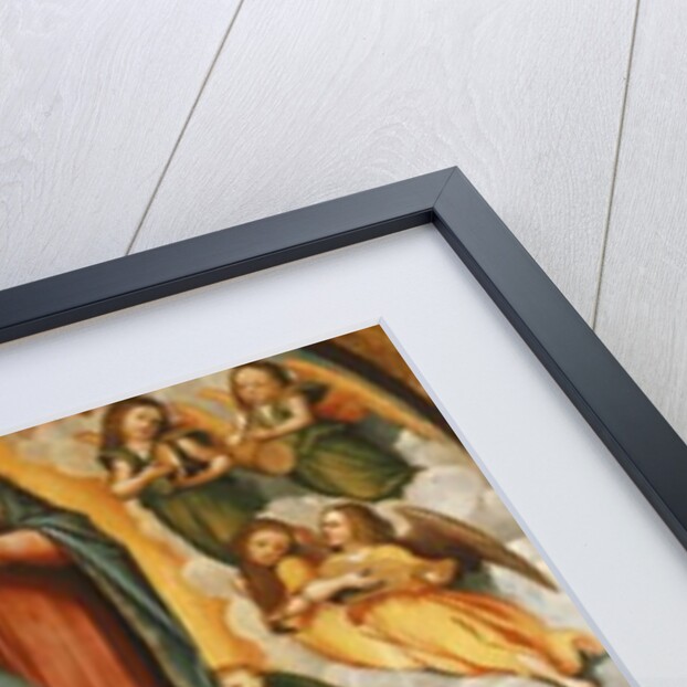 The Assumption of the Virgin by Bernardino Ferrari