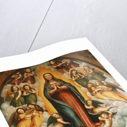 The Assumption of the Virgin by Bernardino Ferrari