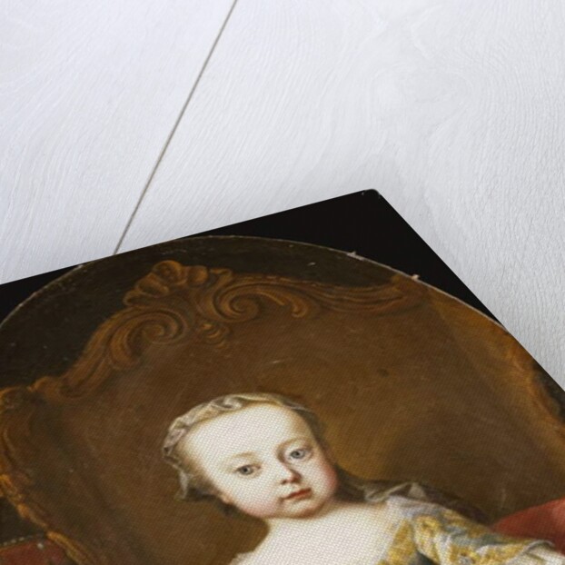 Portrait of His Sister, the Archduchess Maria Christine by Martin van Mytens or Meytens