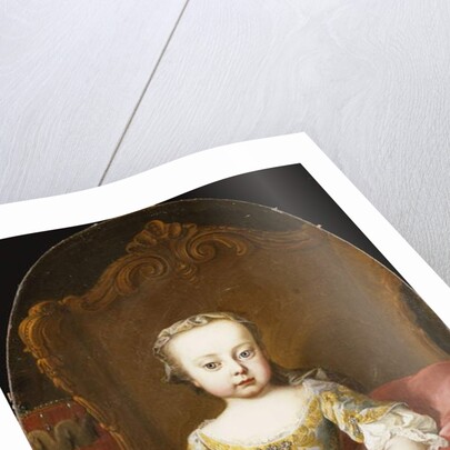 Portrait of His Sister, the Archduchess Maria Christine by Martin van Mytens or Meytens