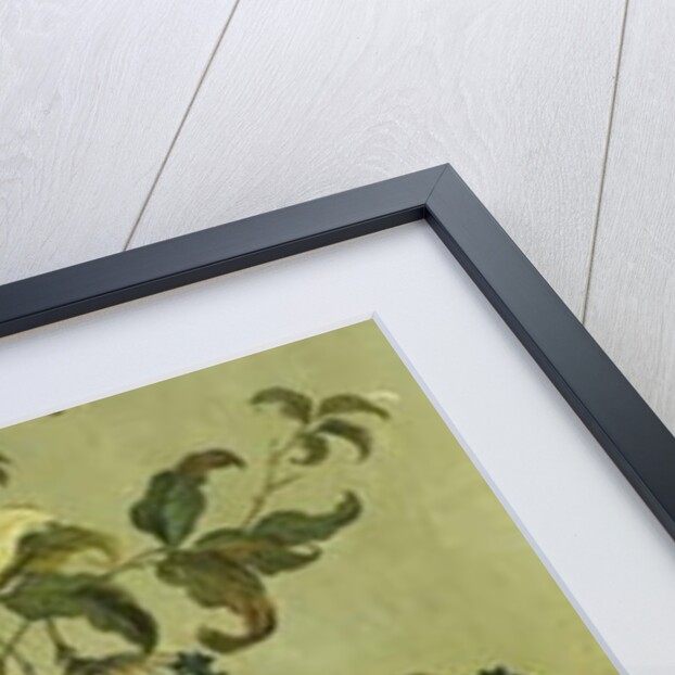 Decorative Panels with Flowers by Jean Baptiste Pillement