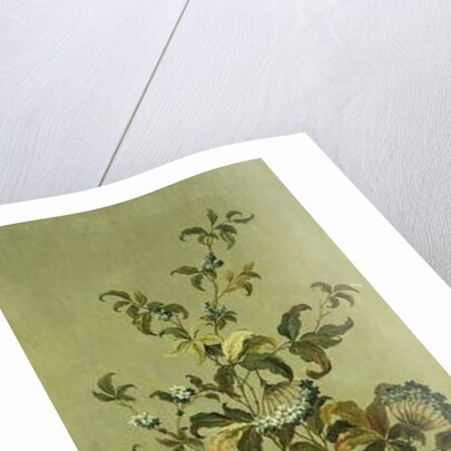 Decorative Panels with Flowers by Jean Baptiste Pillement