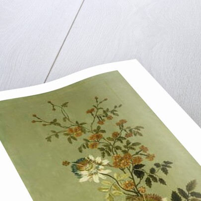 Decorative Panels with Flowers by Jean Baptiste Pillement