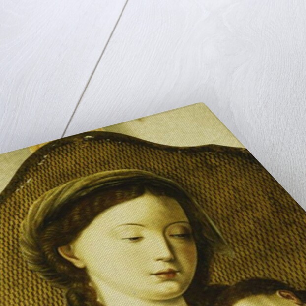 The Madonna and Child by Pieter Coecke van Aelst