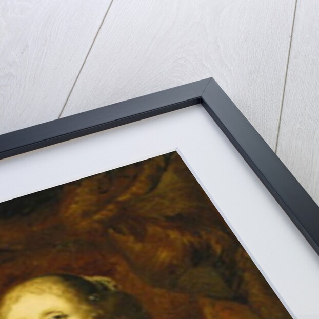 Portrait of a Lady by Ferdinand Bol