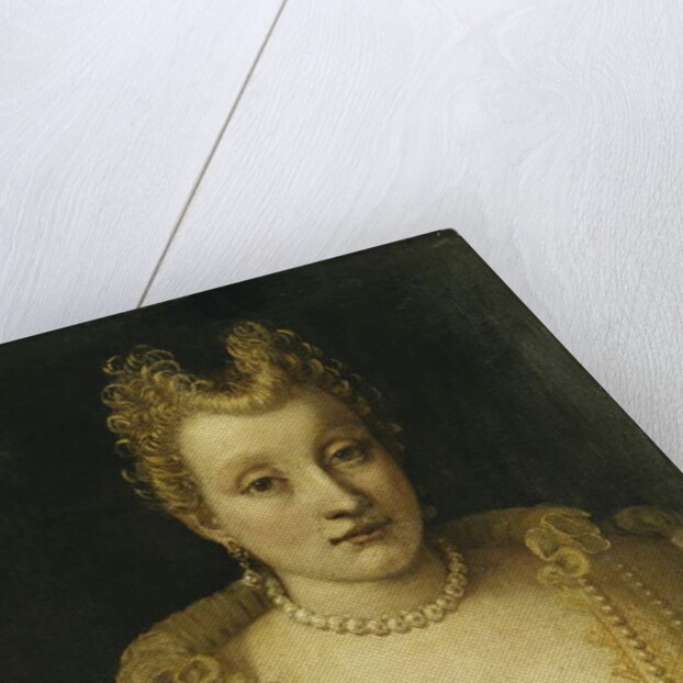 Portrait of a Lady Said to be of the Contarini Family by Francesco Montemezzano