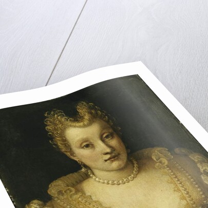 Portrait of a Lady Said to be of the Contarini Family by Francesco Montemezzano