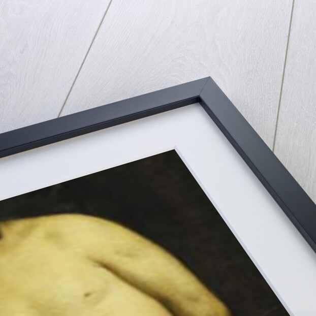 Saint Sebastian by Titian