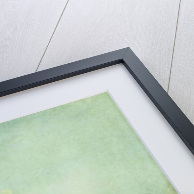 The Loggia Erected in Campo San Zanipolo, Venice, in Front of the Scuola di San Marco for the Benediction of Pope Pius VI in 1782, by Francesco Guardi