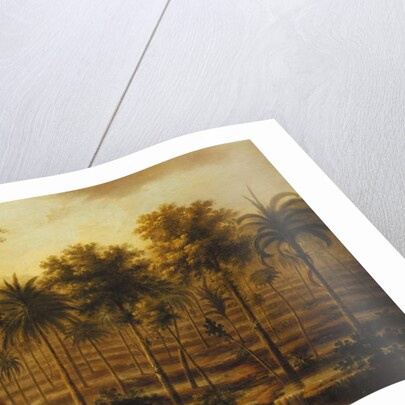 A View of Roaring River Cascades, Jamaica by John Milton