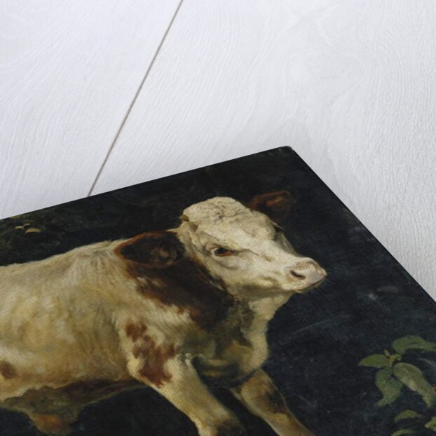 A Bull Calf, 1876 by Christian Eriksen Skredsvig