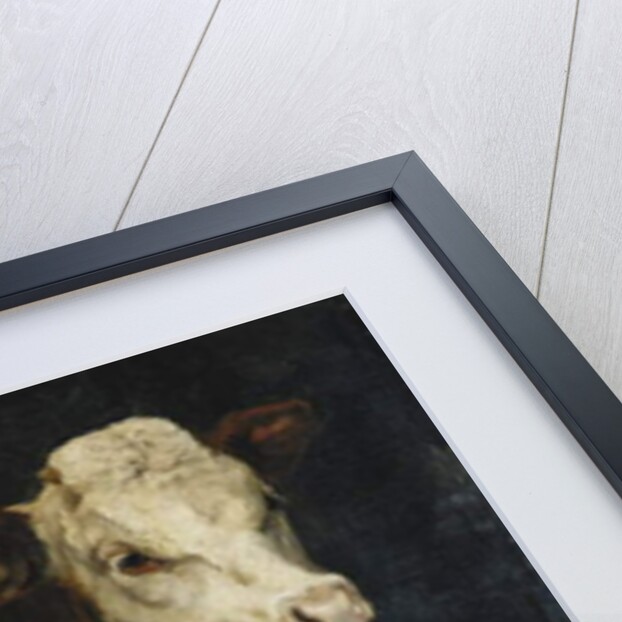 A Bull Calf, 1876 by Christian Eriksen Skredsvig