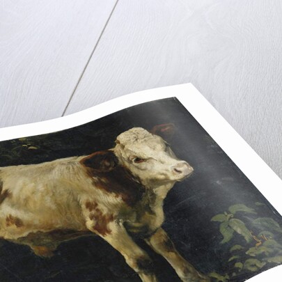 A Bull Calf, 1876 by Christian Eriksen Skredsvig