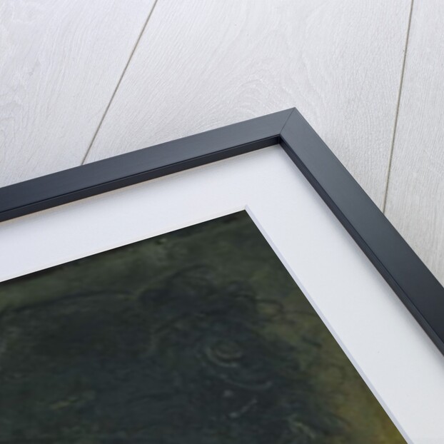 Portrait of Jeanna Heijkenskjold, 1881 by Anders Leonard Zorn