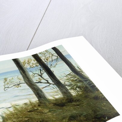 On the Beach, 1907 by Harald Slott-Moller