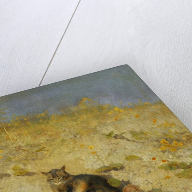 A Cat Basking in the Sun, 1884 by Bruno Andreas Liljefors