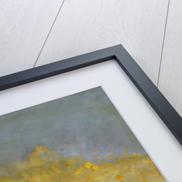 A Cat Basking in the Sun, 1884 by Bruno Andreas Liljefors