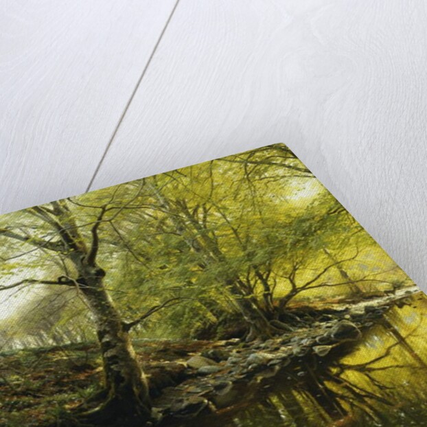 A Wooded River Landscape, 1910 by Peder Monsted