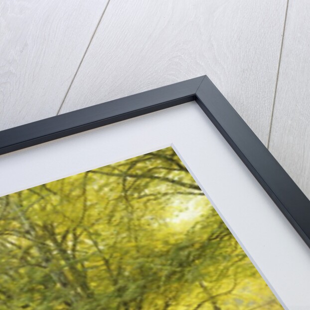 A Wooded River Landscape, 1910 by Peder Monsted