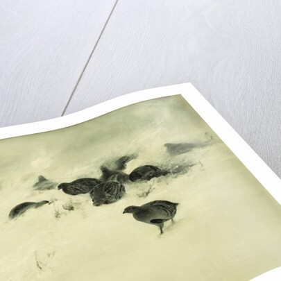 Grouse in a Snow Storm, 1890 by Bruno Andreas Liljefors