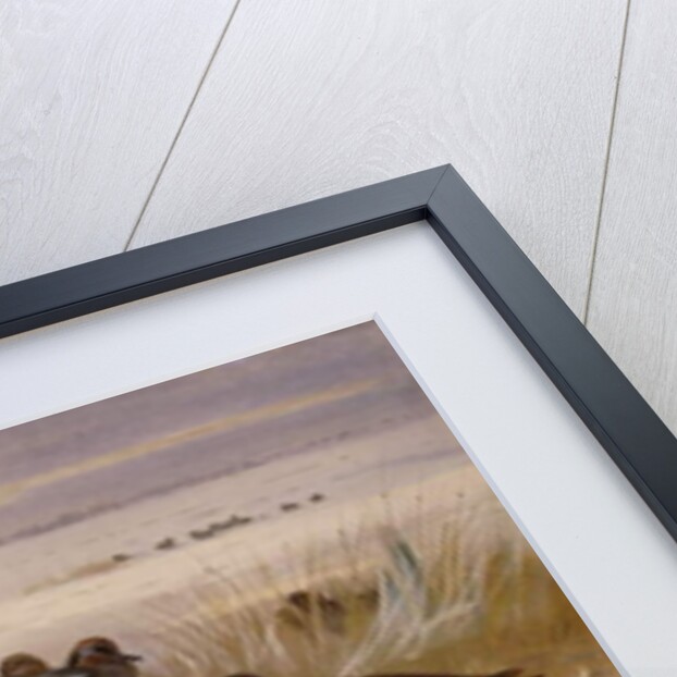 Mallard Widgeon and Snipe at the Edge of a Pool in Winter, 1898 by Archibald Thorburn