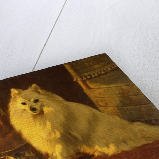 Best of Friends by Wright Barker