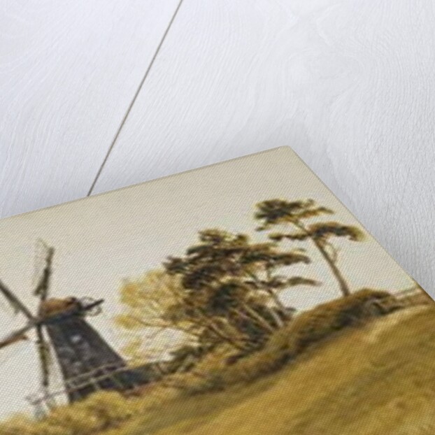 Beverley Minster by Robert Thorne Waite