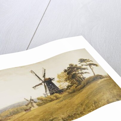 Beverley Minster by Robert Thorne Waite