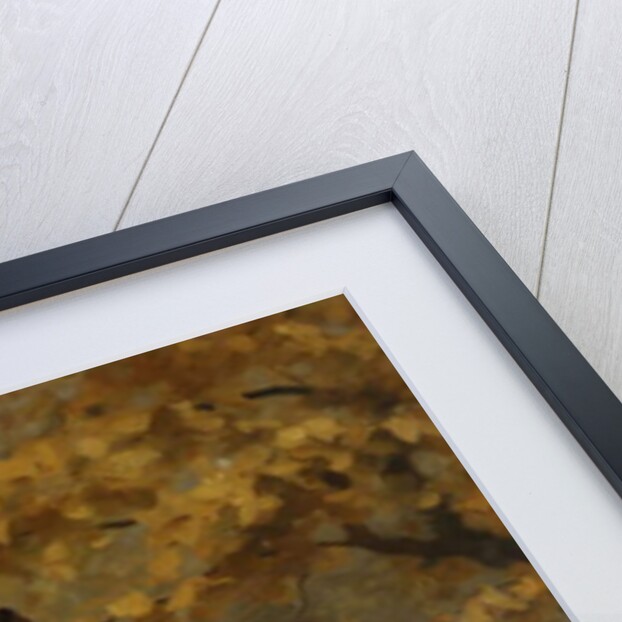 Hilda and Margaret, Daughters of Professor Sir Edward Poulton, F.R.S., c.1905 by Thomas Cooper Gotch