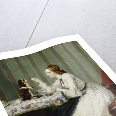 Donations Thankfully Received, 1862 by Marshall Claxton