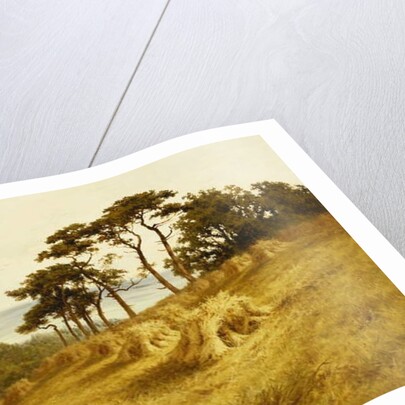 Harvest Time, Fairlight, Sussex by Henry Parker
