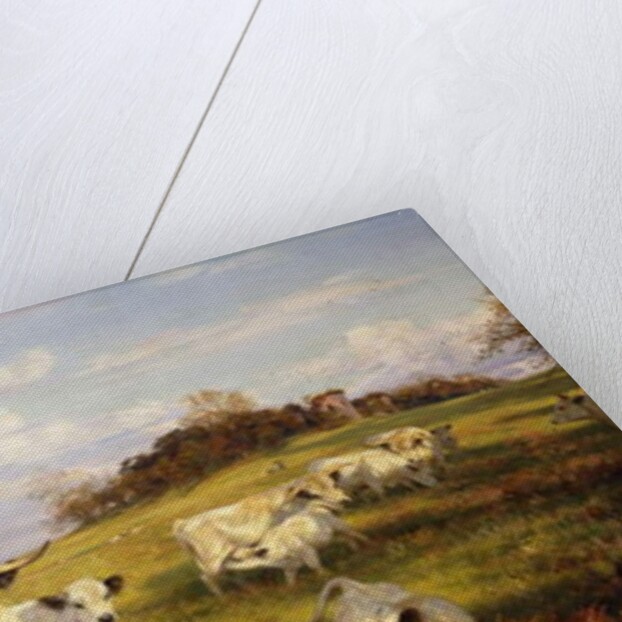 Wild Cattle of Chartley, Chartley Castle Beyond, 1902 by Henry William Banks Davis