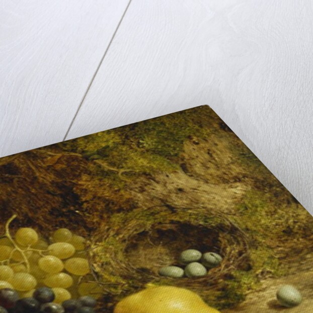 Grapes, an Apple, a Pear and a Bird's Nest on a Mossy Bank, 1865 by William Hughes