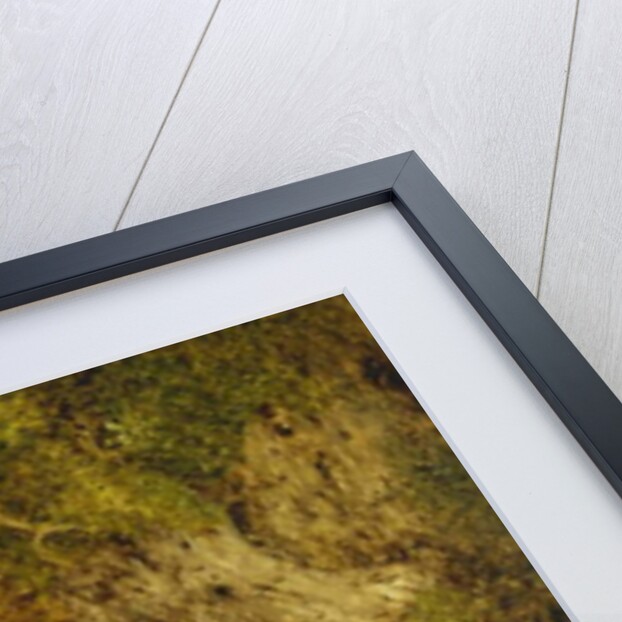 Grapes, an Apple, a Pear and a Bird's Nest on a Mossy Bank, 1865 by William Hughes