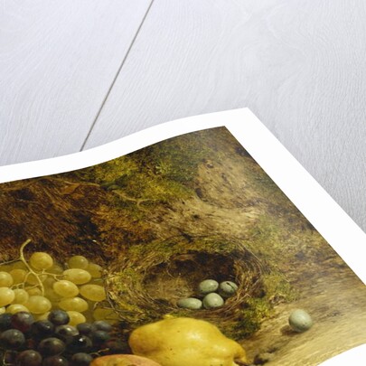 Grapes, an Apple, a Pear and a Bird's Nest on a Mossy Bank, 1865 by William Hughes